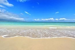 【思い出作り！】はじめての『学生旅行おどおど』を解決（満喫するポイント編） ＃あつまれ！_おどおど学生。
