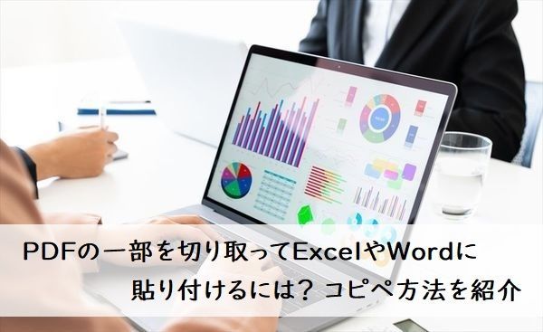 PDFの一部を切り取ってExcelやWordに貼り付けるには？ コピペ方法を紹介